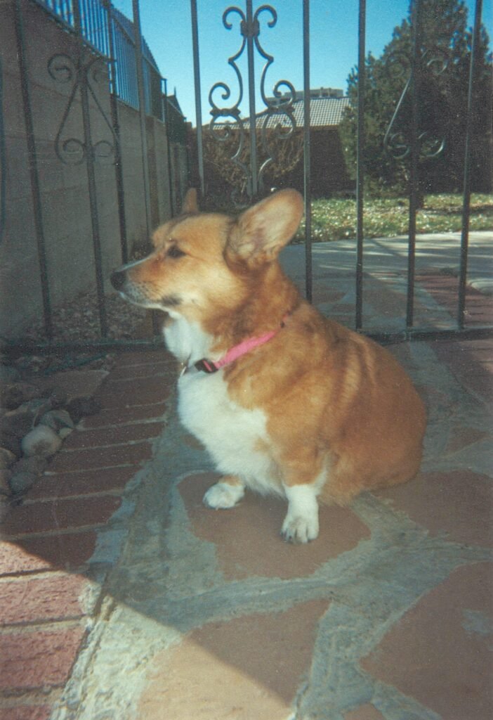 allie outside aa house